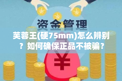芙蓉王(硬75mm)怎么辨别？如何确保正品不被骗？